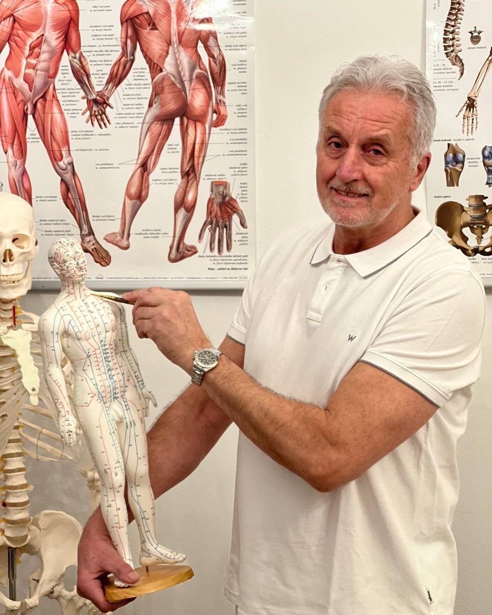 Karel Šůra ukazuje akupunkturní body na modelu
